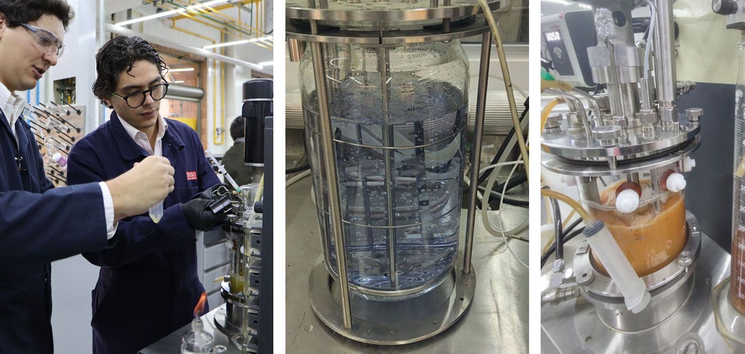 Laboratorio de Bioingeniería 