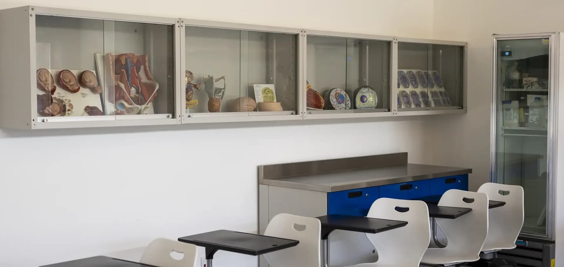 Laboratorio Docencia en Salud