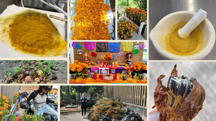 Para la comunidad del huerto, el proceso es más que reciclaje: es educación ambiental, arte, tradición y trabajo colectivo. Fotos: Huerto IBERO