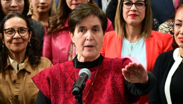 En el proceso de selección, que fue conducido por la Comisión de Derechos Humanos del Congreso capitalino, María Dolores obtuvo la mejor evaluación.