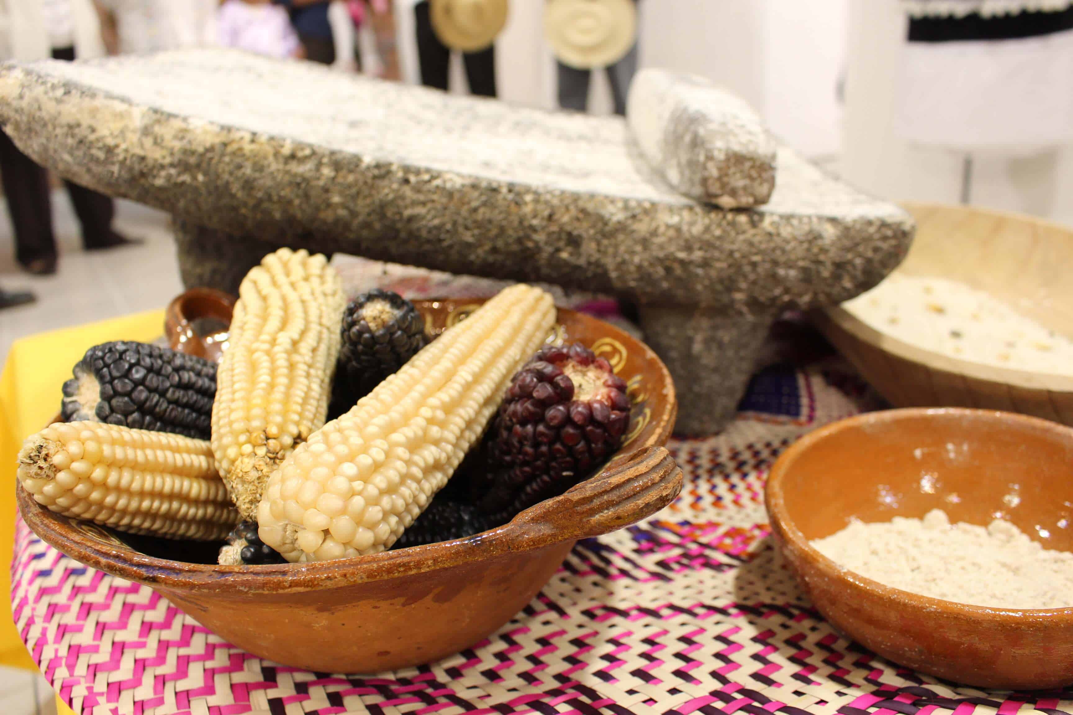 Foto/ Jorge Tovalín