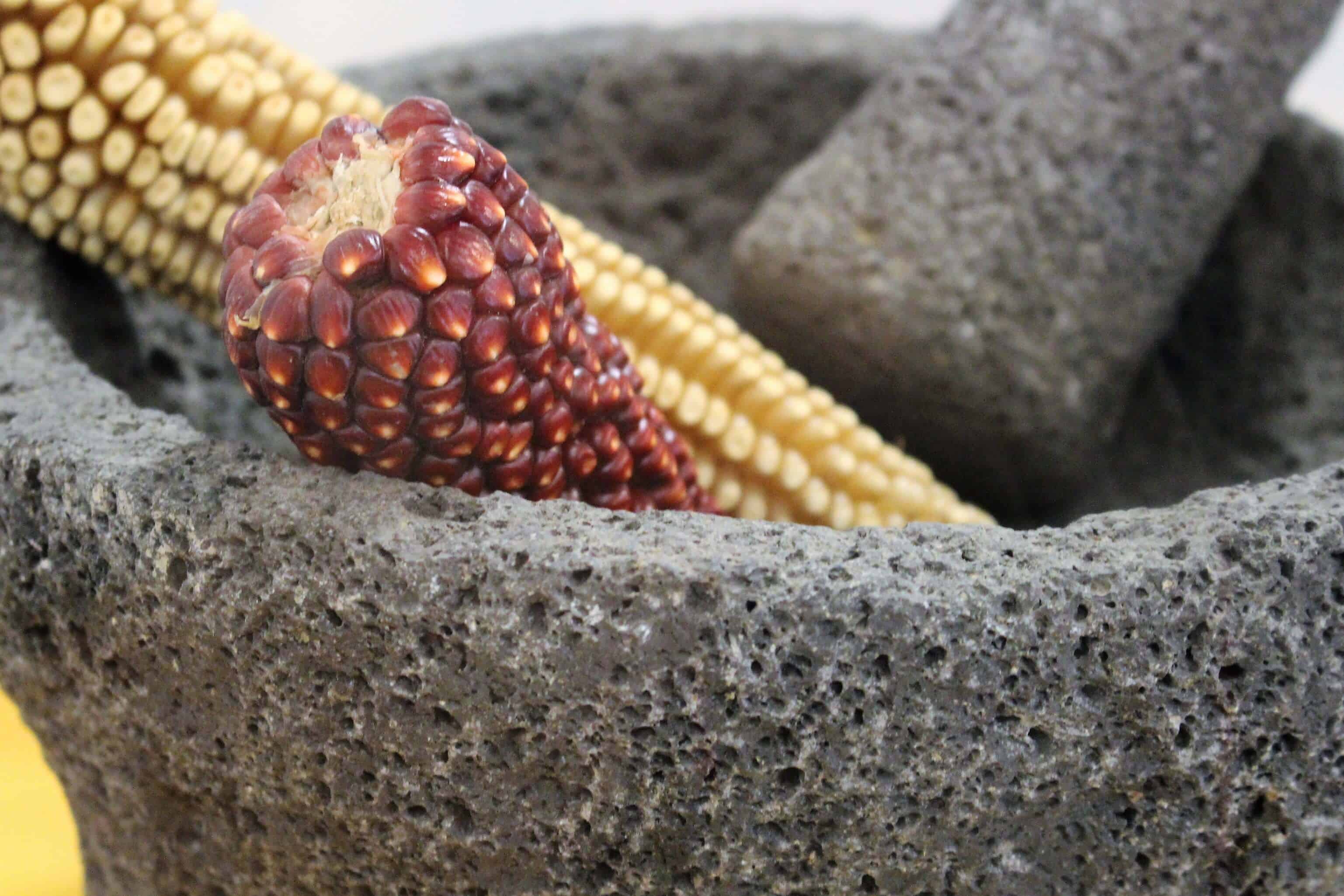 Foto/ Jorge Tovalín