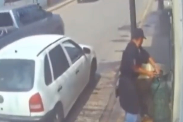 Cualquier atentado o maltrato que menoscabe o limite la condición de un ser vivo debe castigarse. (Imagen tomada de Twitter).