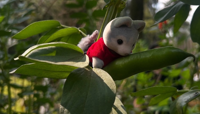 Foto: Guillermo Gutiérrez/Carlos Pérez