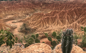 'Vida en el desierto'. Ángel López Jurado (alumno IBERO). Ganador Premio del Jurado.