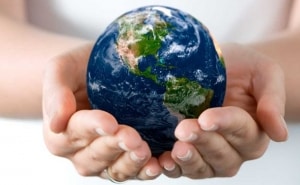 Luchar contra el cambio climático (Foto: pixabay)