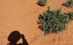 Las ondas de calor impactan en las condiciones de habitabilidad de una zona (Imagen: pixabay.com).