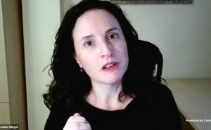 Dra. Irene Comins Mingol, investigadora del Instituto Interuniversitario de Desarrollo Social y Paz de la Universitat Jaume I de Castellón, España.