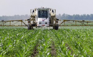 Una de las conclusiones de un tribunal simbólico es que distintas prácticas en que se ha involucrado Monsanto han impactado de forma negativa los derechos a un medio ambiente sano (Tomado de Acento).