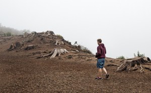 La deforestación impacta seriamente al sistema ecológico (Imagen: pixabay.com).