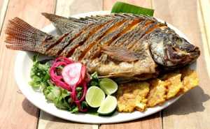 Esta Cuaresma puedes consumir pescados y mariscos.