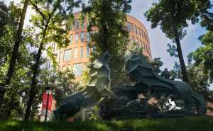 Foto: Dirección de Comunicación Institucional de la IBERO.